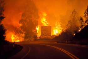 Portuqaliyada meşə yanğınlarında 63 nəfər ölüb