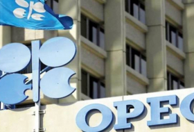 OPEC Azərbaycanla əməkdaşlığı genişləndirmək istəyir
