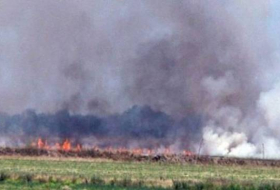 Ermənilər Ağdamda 280 hektar ərazini yandırıb