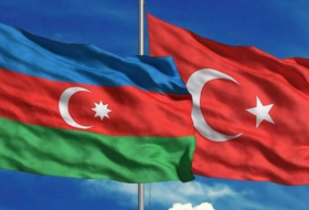 Azərbaycan və Türkiyə diasporu birgə işləyəcək