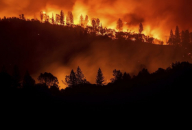 Kaliforniyada meşə yanğınları:  11 nəfər ölüb   
