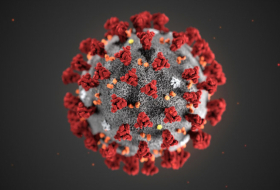  İngiltərədə aşkarlanan koronavirusun yeni növü sürətlə yayılır 