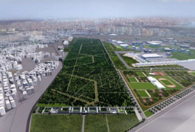 Atatürk Hava Limanının ərazisində böyük park salınacaq -    FOTO     
