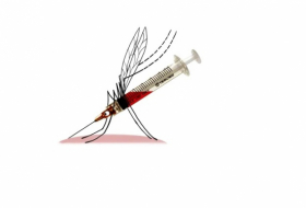       “Uçan şpris”:    Mutant ağcaqanadlar azadlığa buraxılıb   