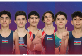    Azərbaycan gimnastları Niderlandda 6 medal qazanıblar  
   